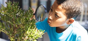 Different Types of Learning Styles & How They Apply to Early Childhood Development